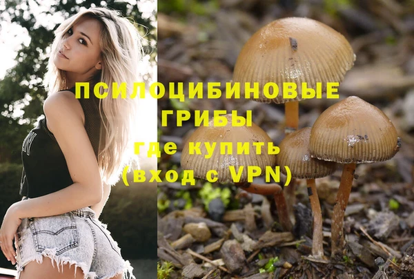 гашик Арсеньев