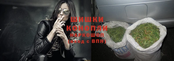 гашик Арсеньев