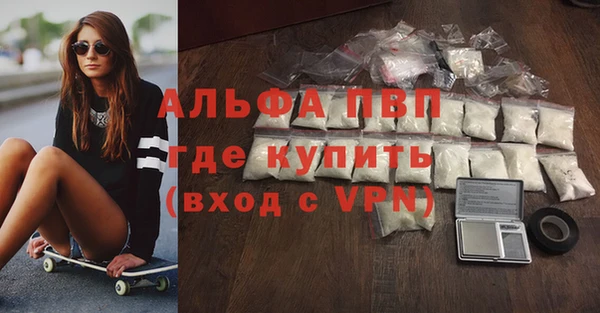 гашик Арсеньев